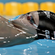 Illustration for article titled Awesomely Perfect and Refreshing Example of Surface Tension
